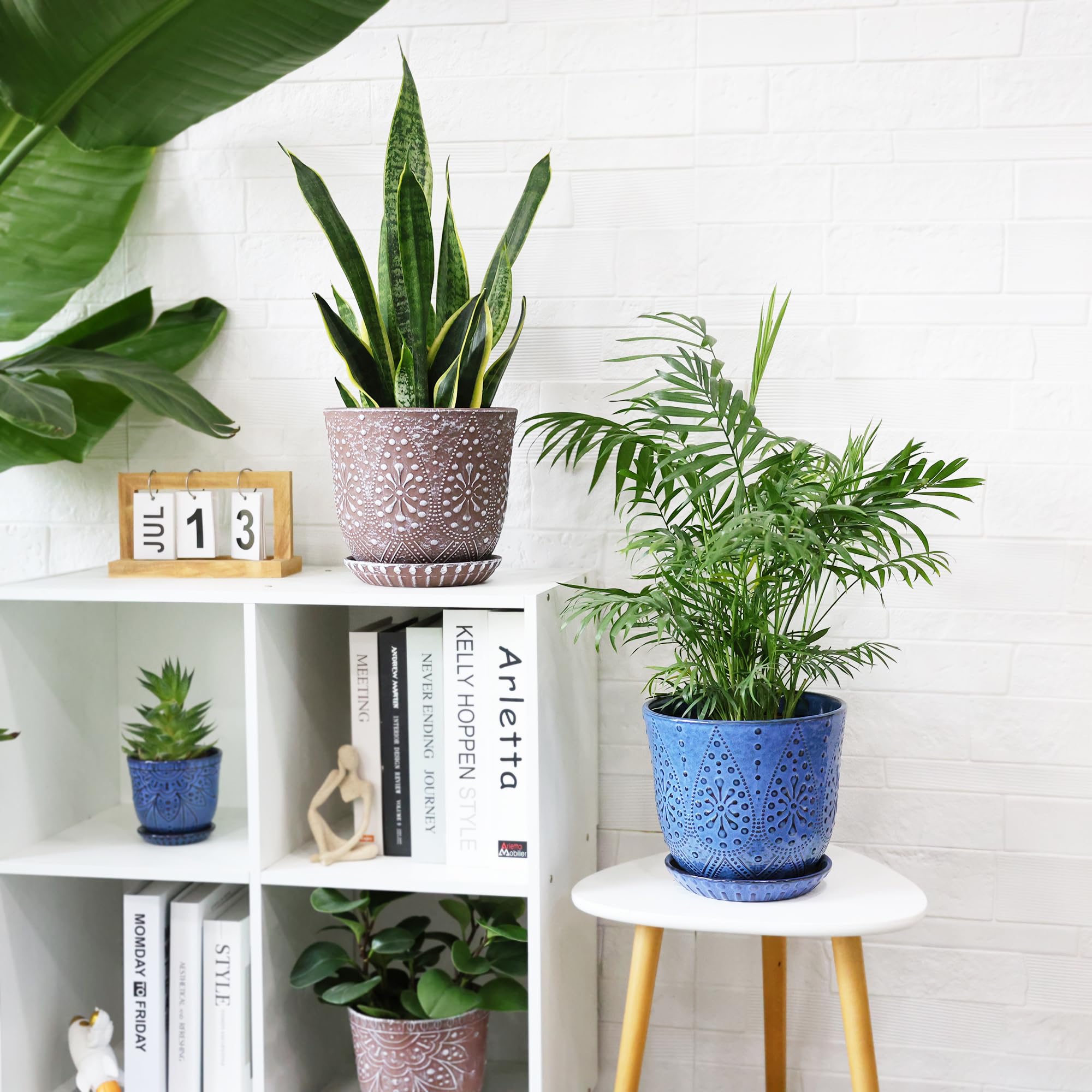 Gepege orchid-succulent-cactus friendly pot for stylish home decor
