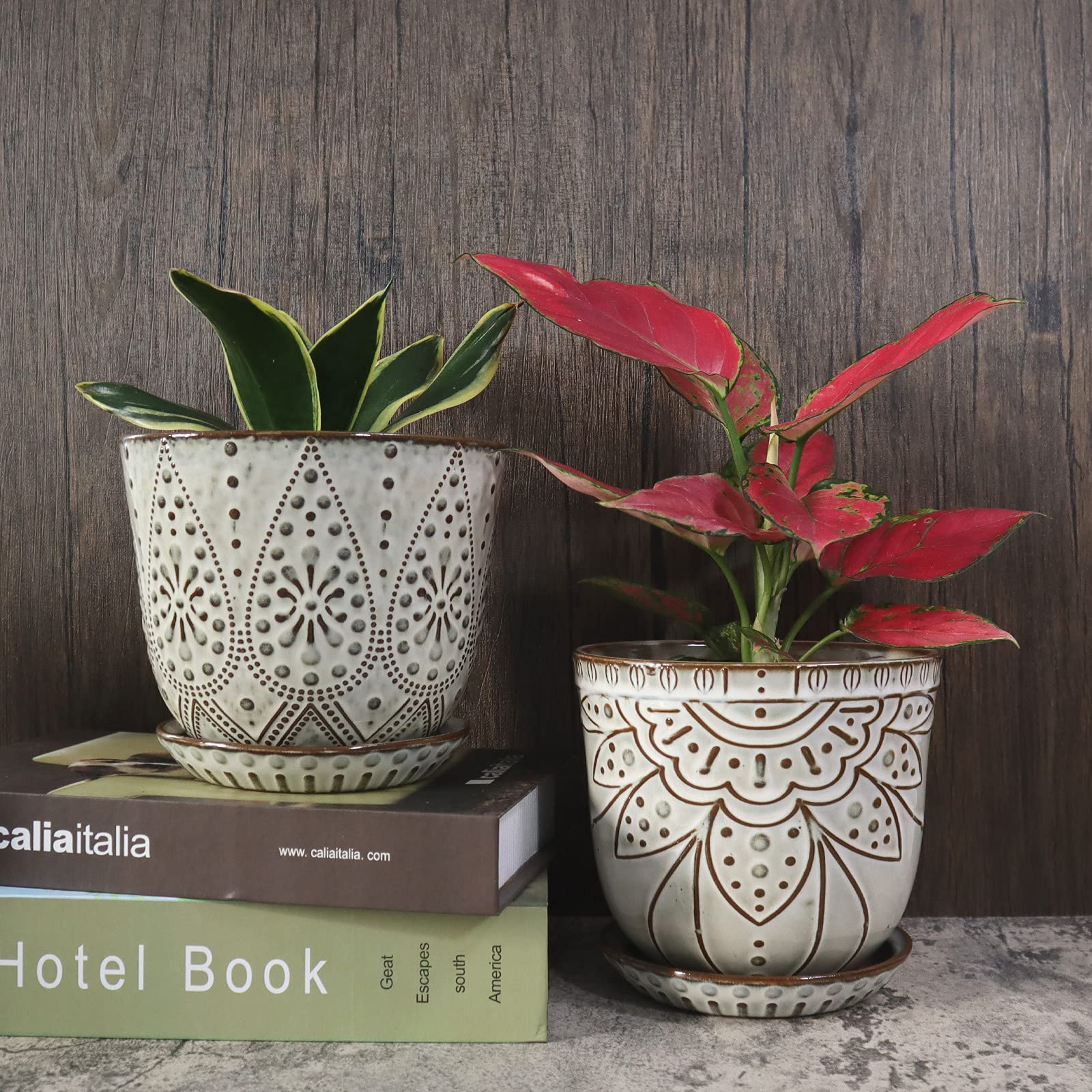 Gepege beaded planter in vertical garden concept, indoor-outdoor versatility.