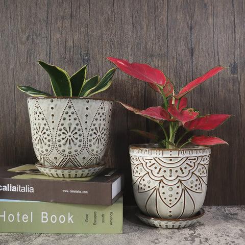 Gepege beaded planter in vertical garden concept, indoor-outdoor versatility.