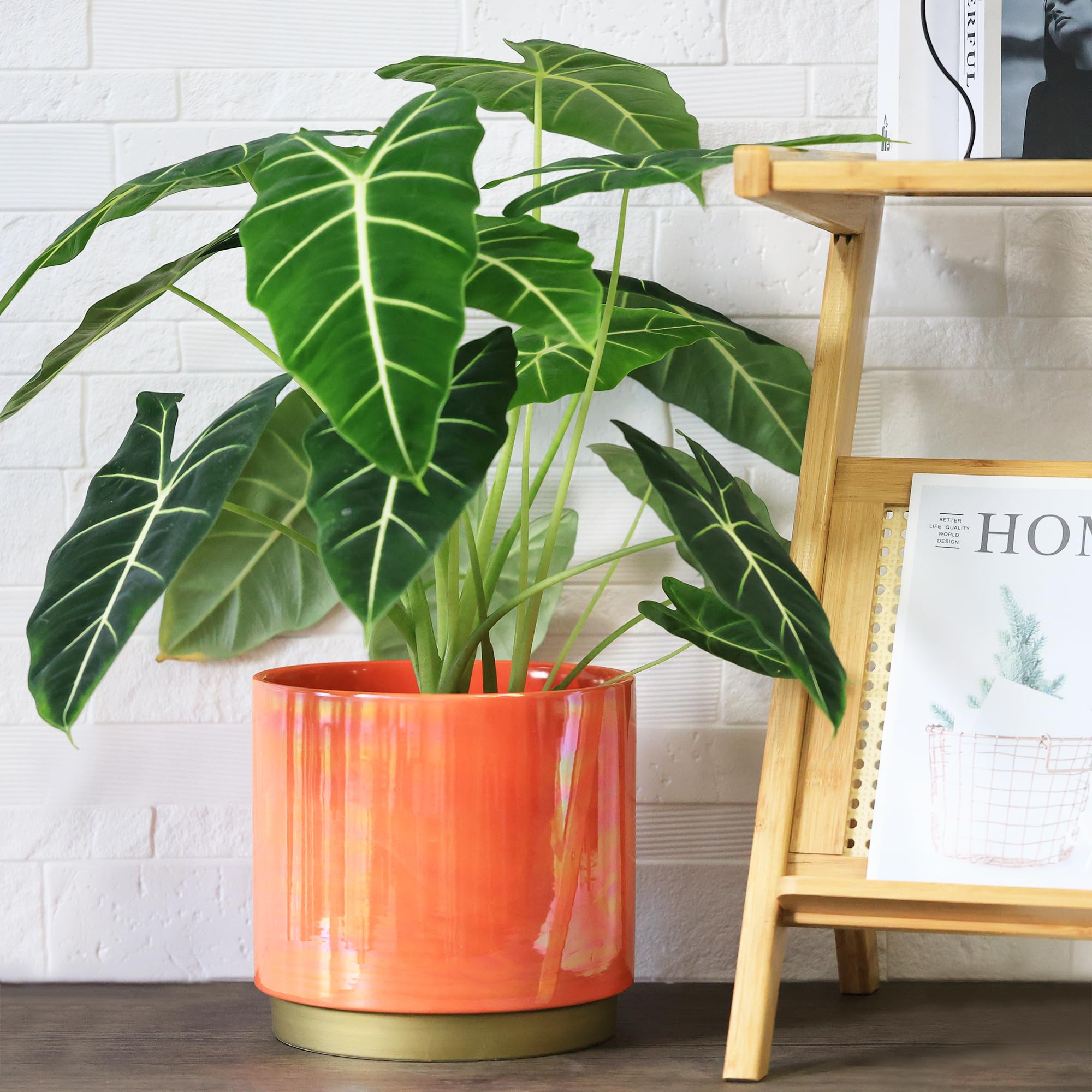 Gepege Peach pot with rainbow pearl glaze enhances living room ambiance.