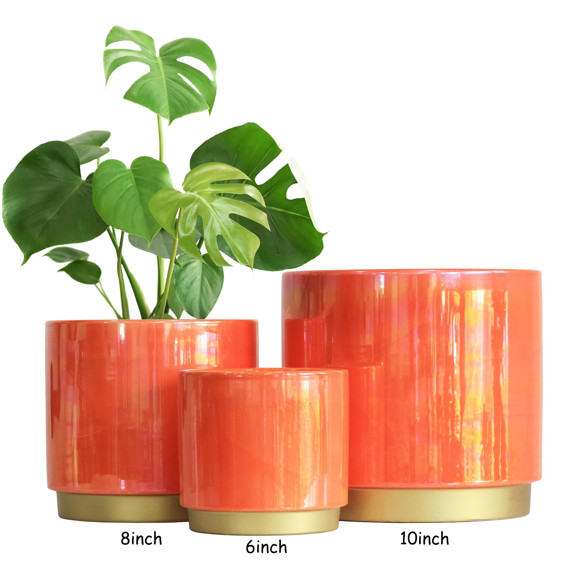 Gepege Peach planter makes a thoughtful gift for plant lovers.