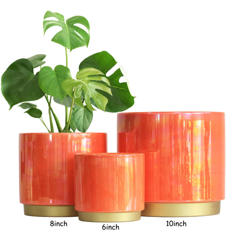 Gepege Peach planter makes a thoughtful gift for plant lovers.