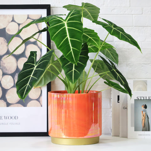 Gepege Peach planter includes a rubber stopper to prevent spills.