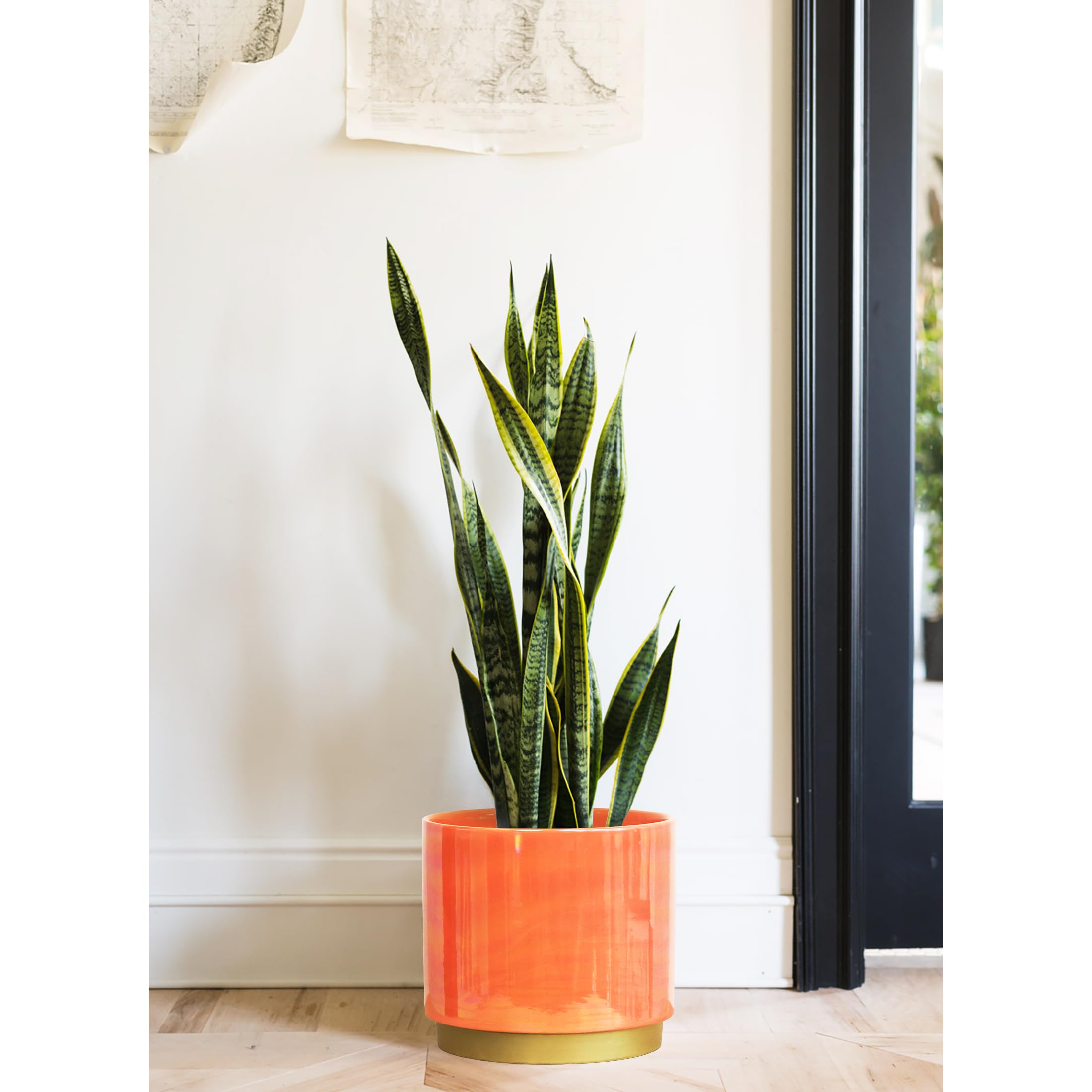 Gepege Peach pot on tabletop or shelf fits home decor.
