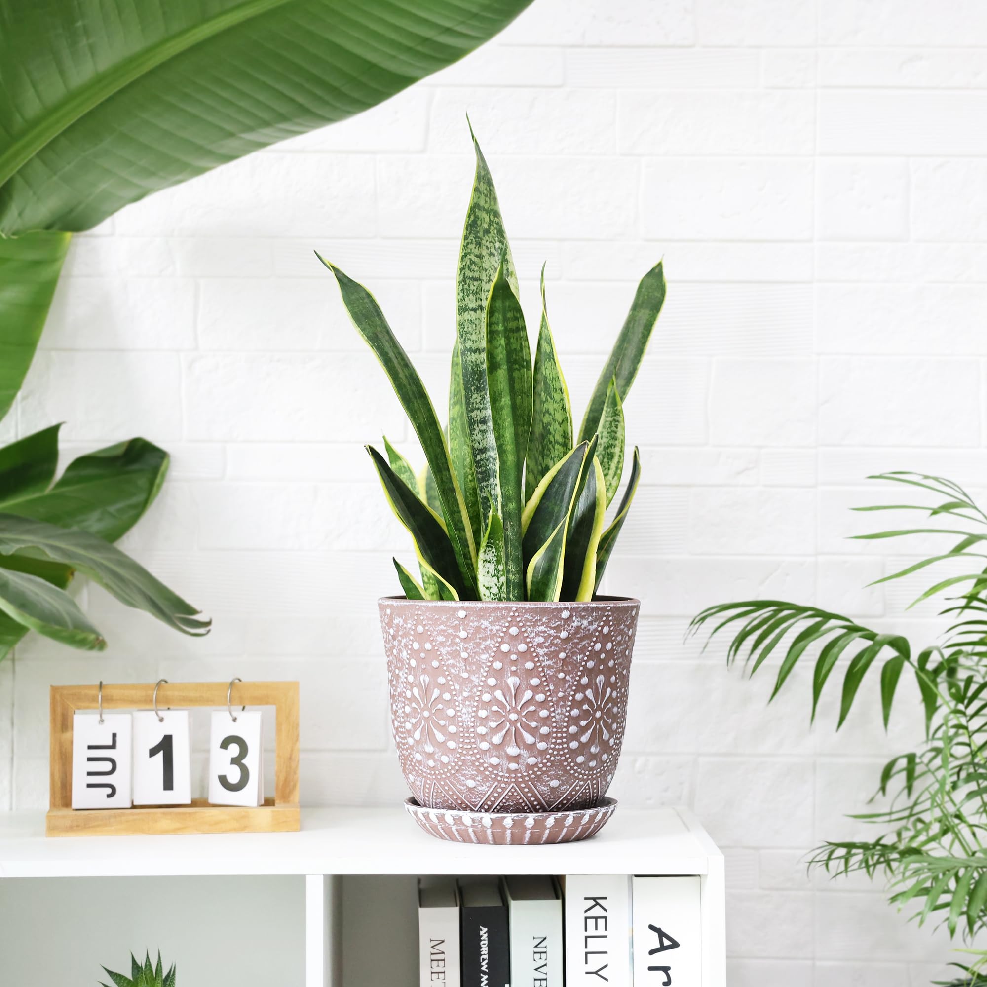 Gepege plant pot showcased on tabletop or windowsill for greenery