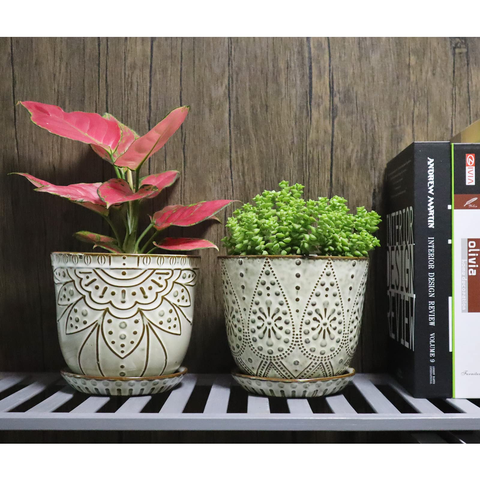 Gepege planter on tabletop setup, perfect for orchids and succulents.