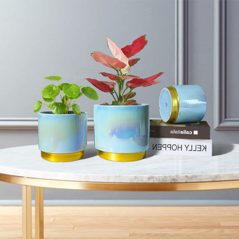 Gepege Rainbow Pearl glaze planter 5inch front view for compact indoor plants