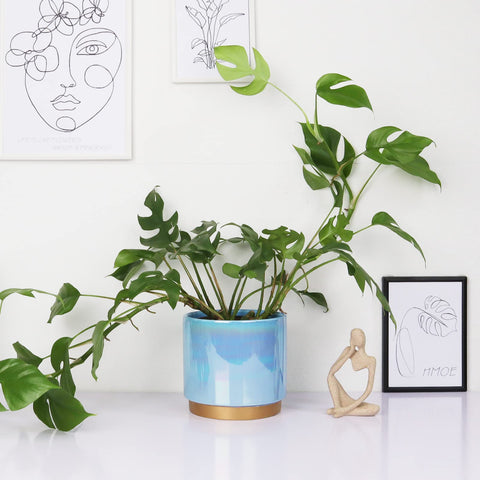 Gepege Rainbow Pearl glaze planters grouped on a bright windowsill