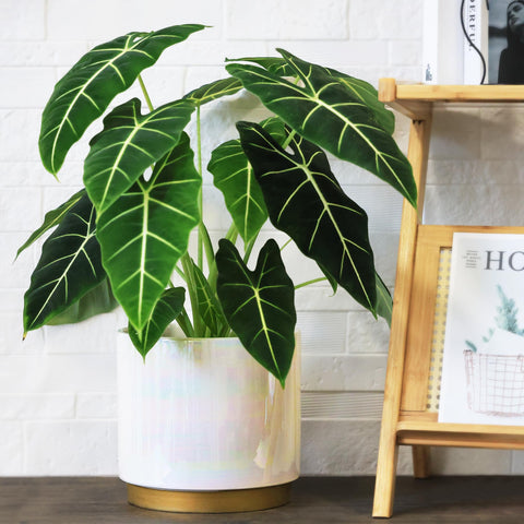Gepege retro cup-shaped planter with mesh pad for easy setup