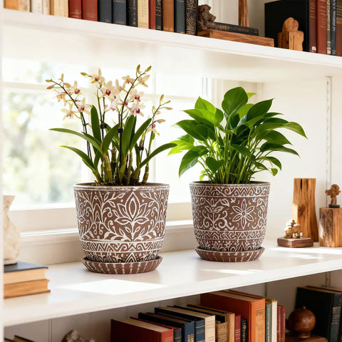 Gepege succulent planter for indoor use with proper drainage and easy maintenance.