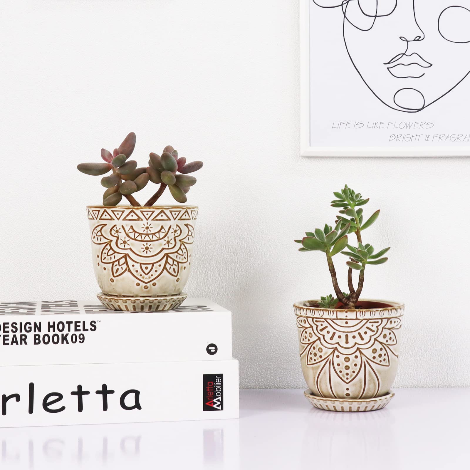 Gepege cream succulent pot set displayed on a shelf for decor.