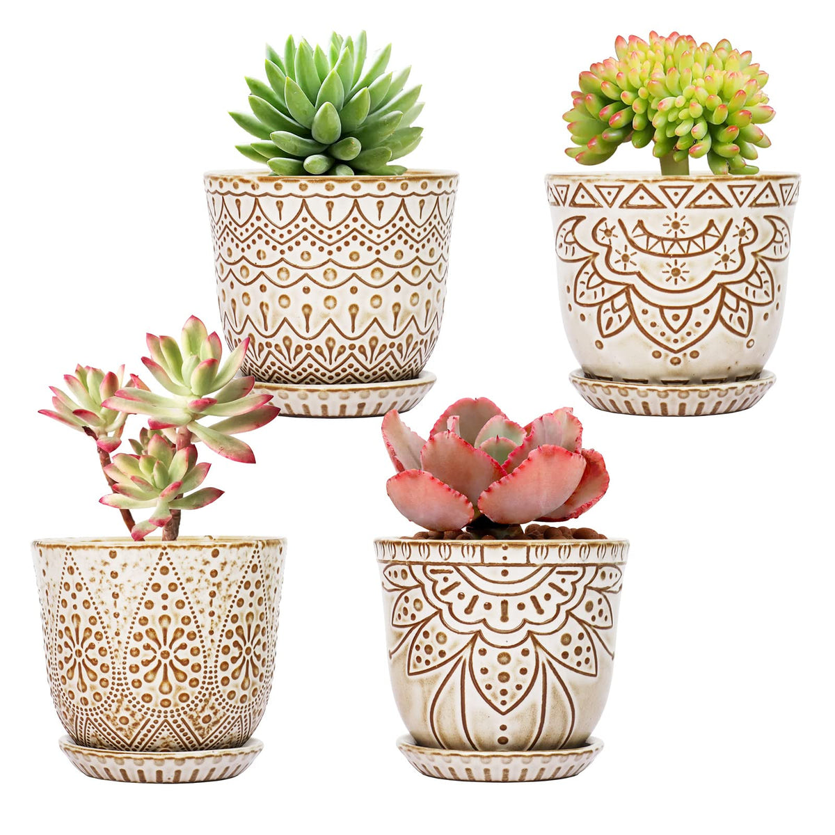 Gepege 4 inch cream succulent pot with drainage holes for healthy watering.