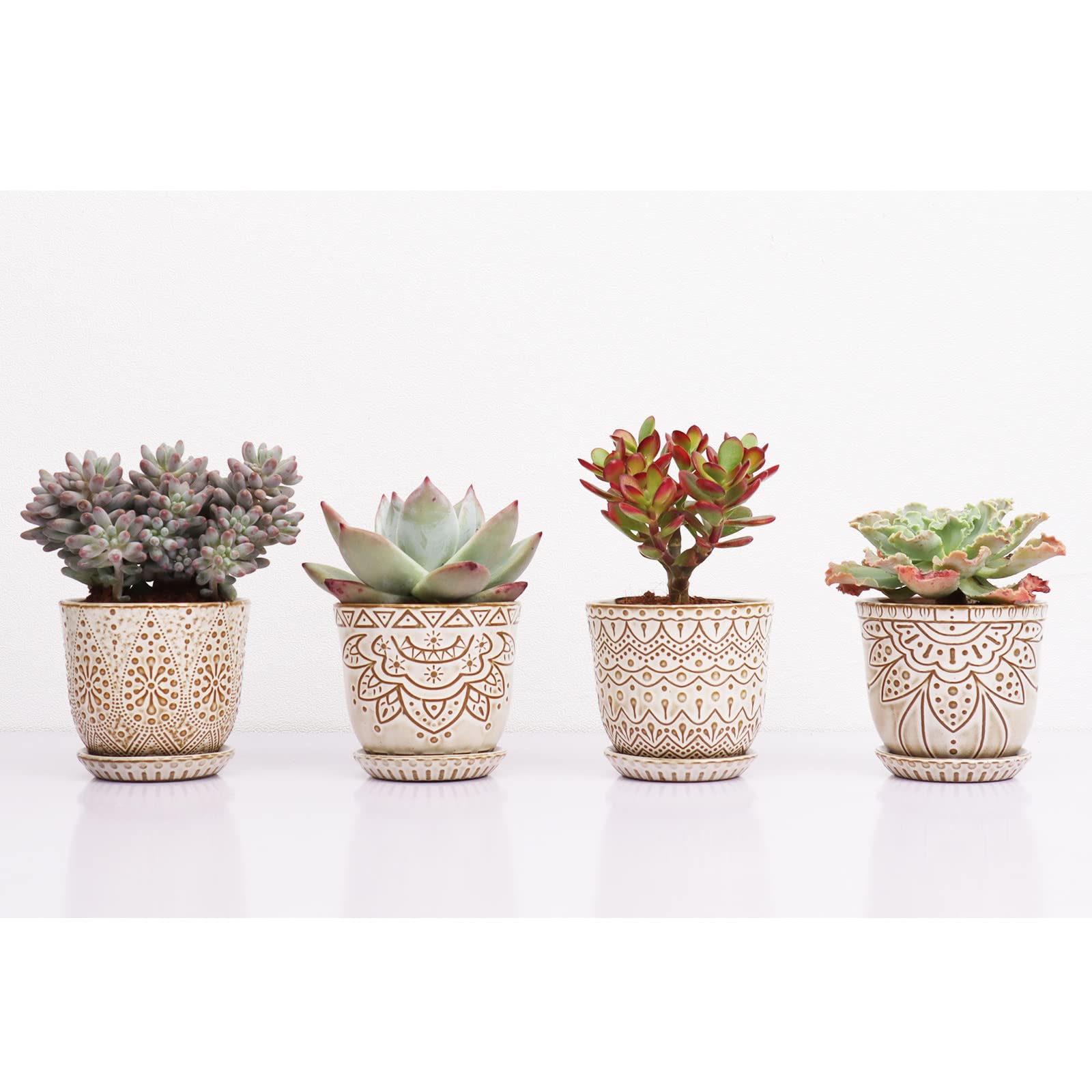 Gepege succulent pot closeup showing creamy glaze finish.
