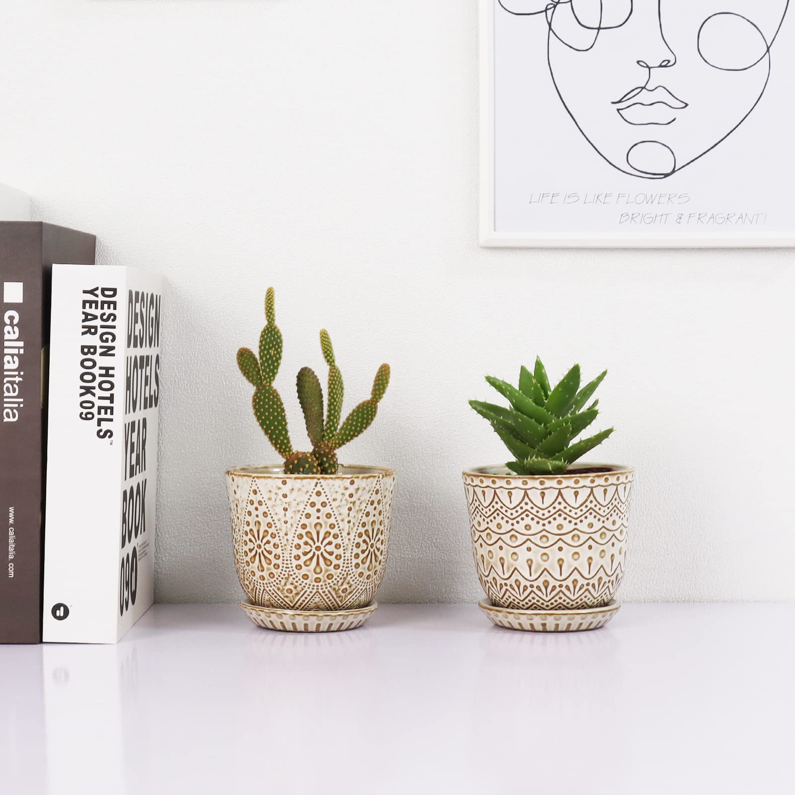 Gepege cream ceramic pot set ideal for orchids and succulents.