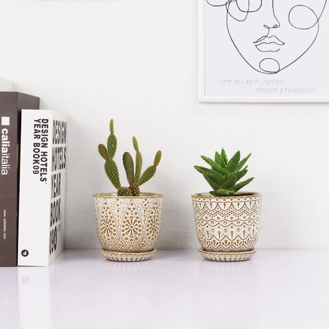Gepege cream ceramic pot set ideal for orchids and succulents.