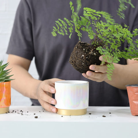 Gepege succulent pot crafted from durable stoneware for longevity