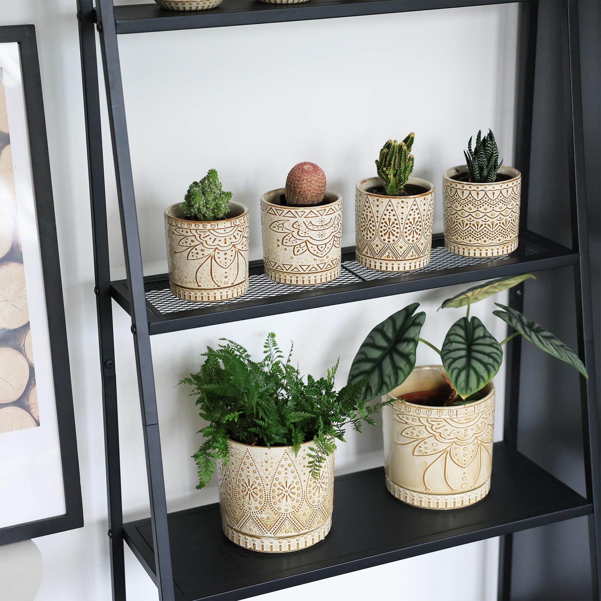 Gepege succulent pot gift set, ideal for birthdays and housewarmings.