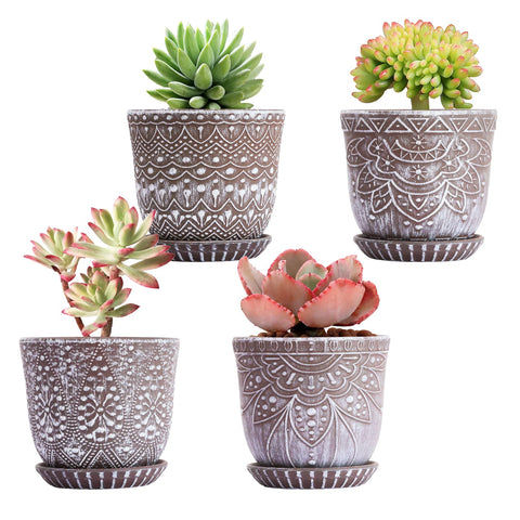 Gepege succulent pots 4-inch set with drainage holes for healthy root care
