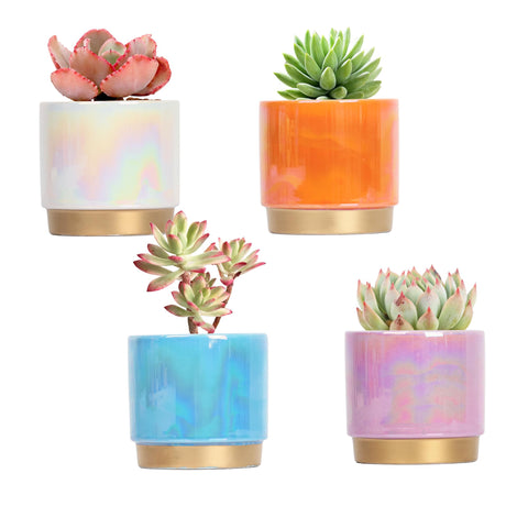 Gepege succulent pot with rainbow pearlescent glaze for indoor decor