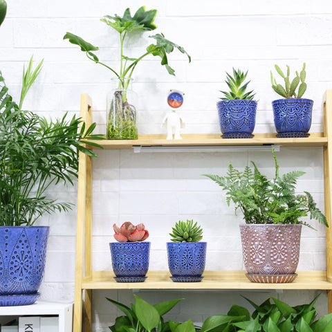 Gepege blue lifestyle setup with pots, showcasing home decor use