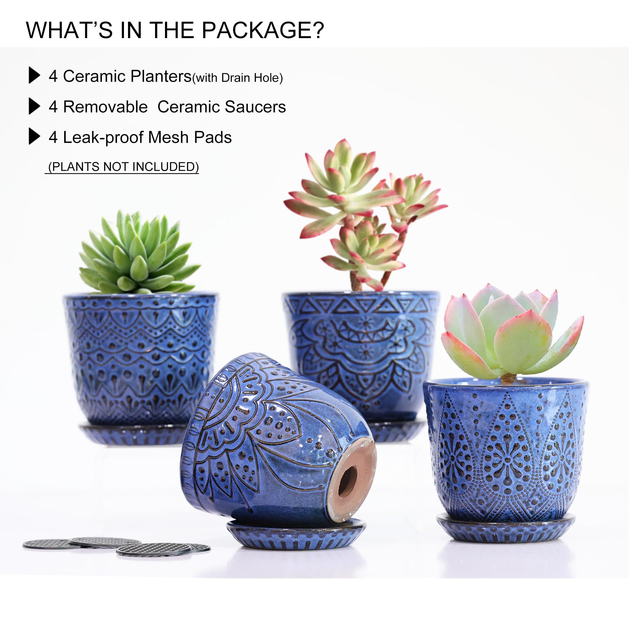 Gepege blue 4-inch ceramic planter showing the mesh pad inside