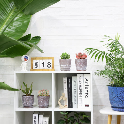 Gepege 4-inch ceramic pots for stylish home decor