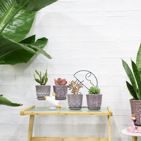 Gepege succulent pot set makes a thoughtful gift