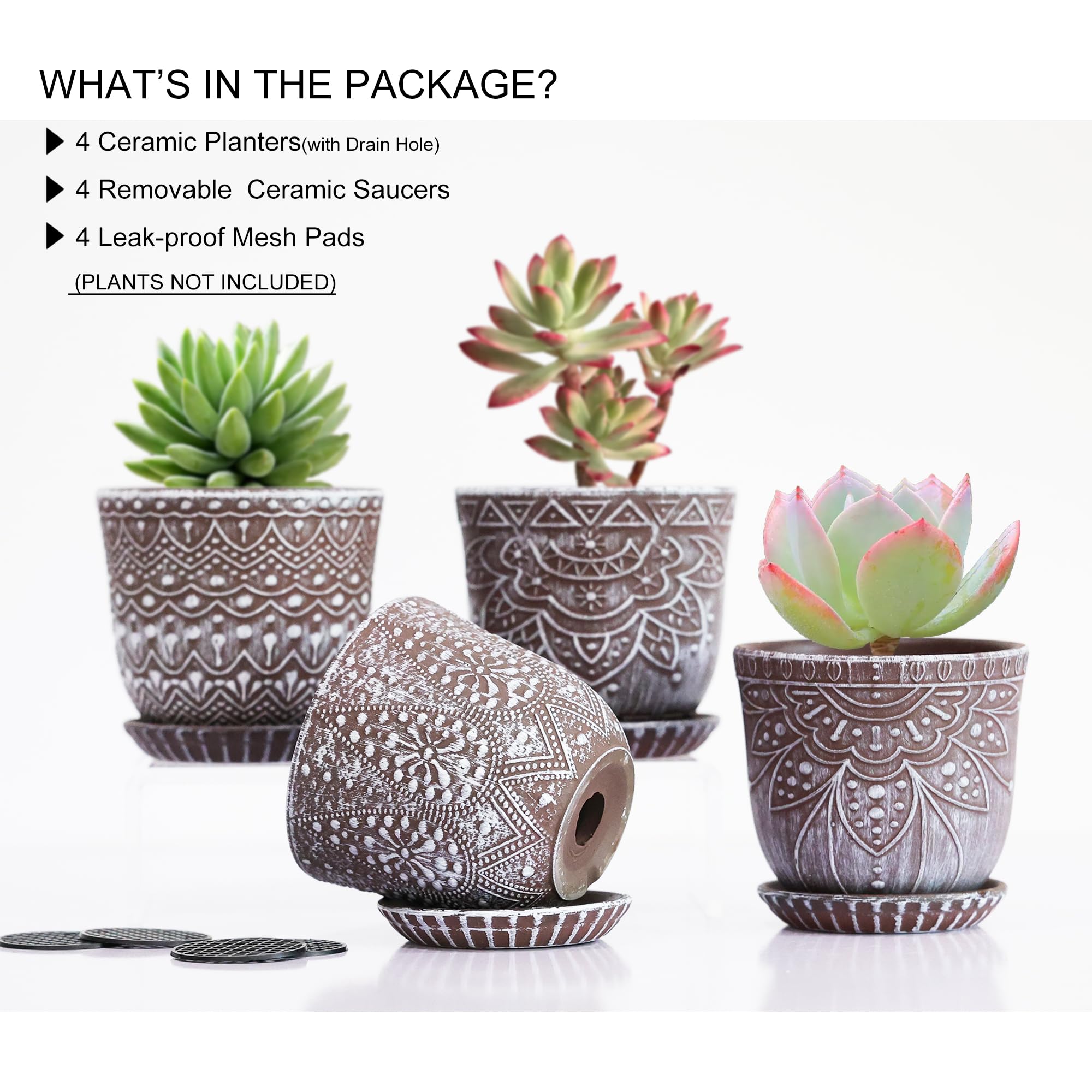 Gepege pots with removable saucers for versatile display options