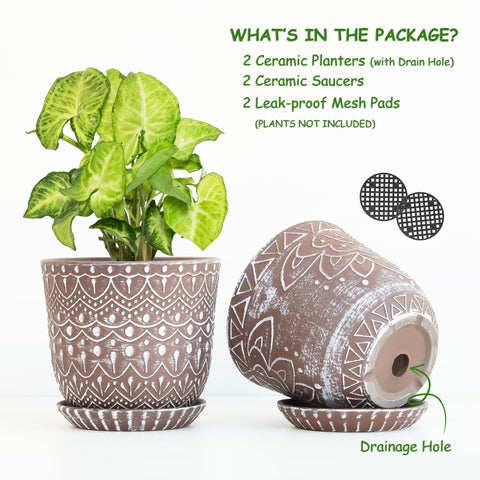Gepege white ceramic pot with glossy finish complements modern decor.