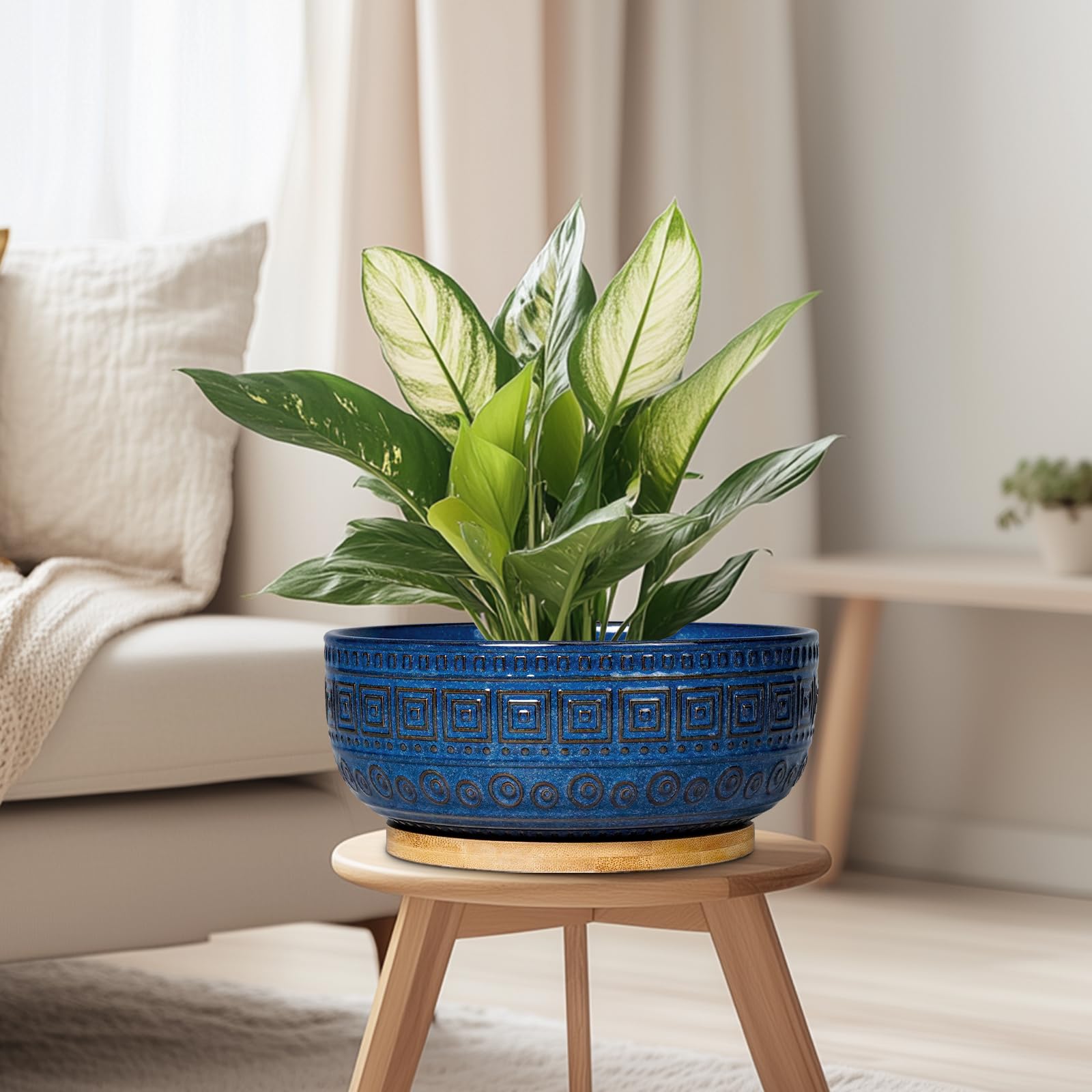 G EPGardening blue planter with succulents complements modern spaces