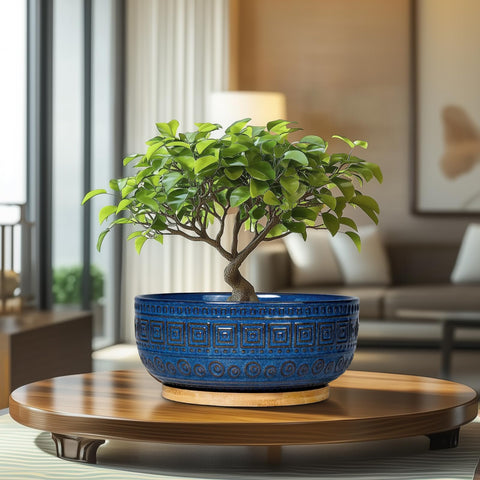 G EPGardening gift-ready blue planter packaging for plant lovers