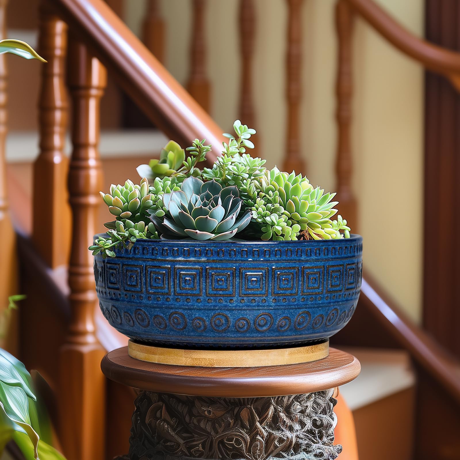 G EPGardening indoor display on shelf with blue planter elevates ambiance