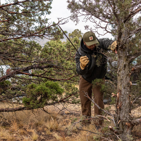 Gerber Gator Machete in action supports camping and bushcraft activities.