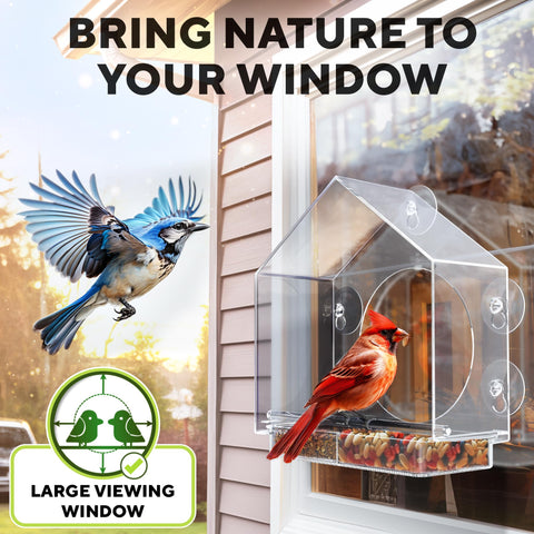 GEROSSI clear viewing window offers unobstructed birdwatching from indoors