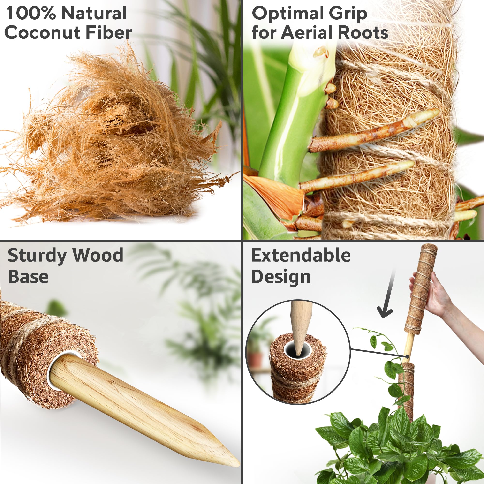 GEROSSI complete fixing kit with ties and rope for easy plant stabilization.