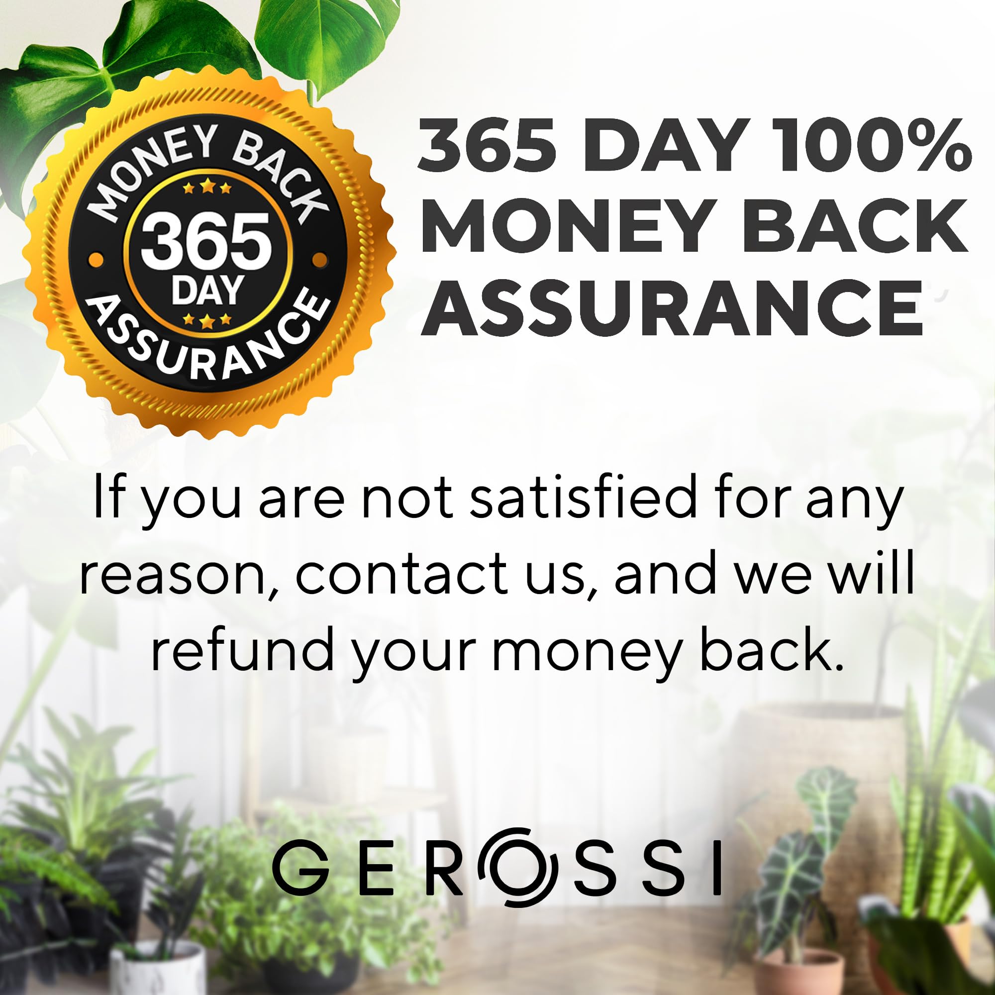 GEROSSI eco-friendly, reusable plant stakes elevate indoor greenery.
