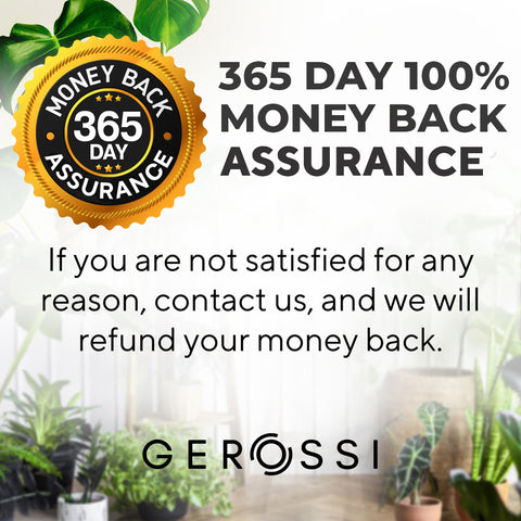 GEROSSI eco-friendly, reusable plant stakes elevate indoor greenery.