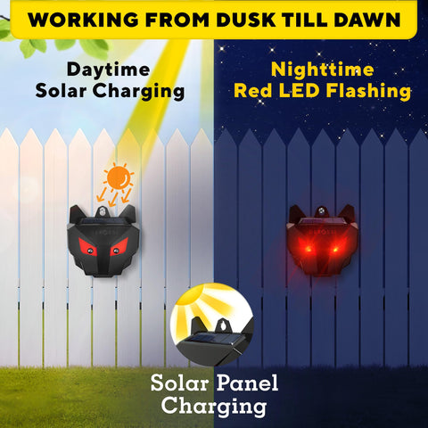 GEROSSI Solar Nocturnal Animal Repeller with LED lights for intrusion deterrence