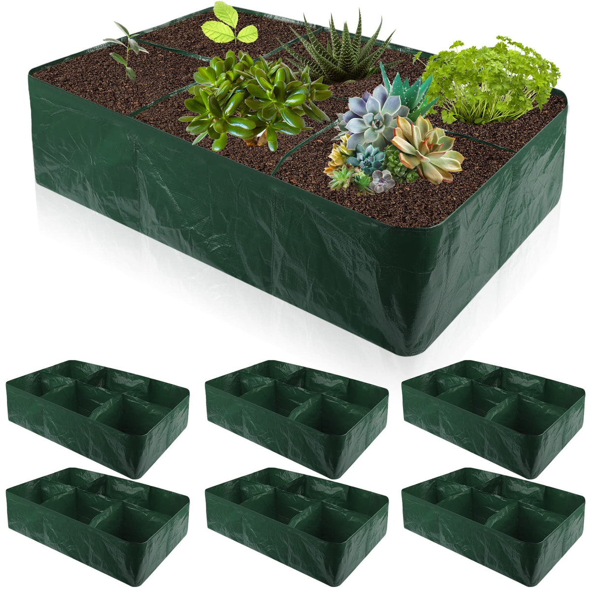 Gerrii 35-gallon raised bed with six grids for organized planting.