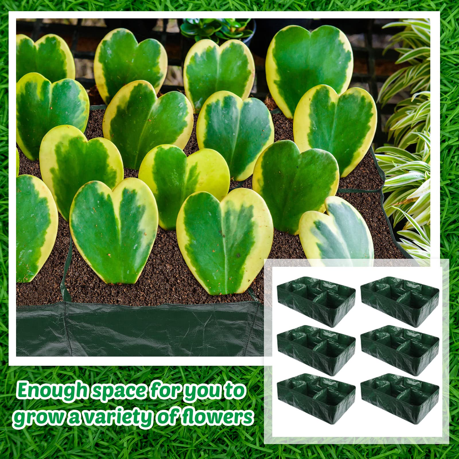 Gerrii beds ideal for balcony, roof, or kitchen garden setups.