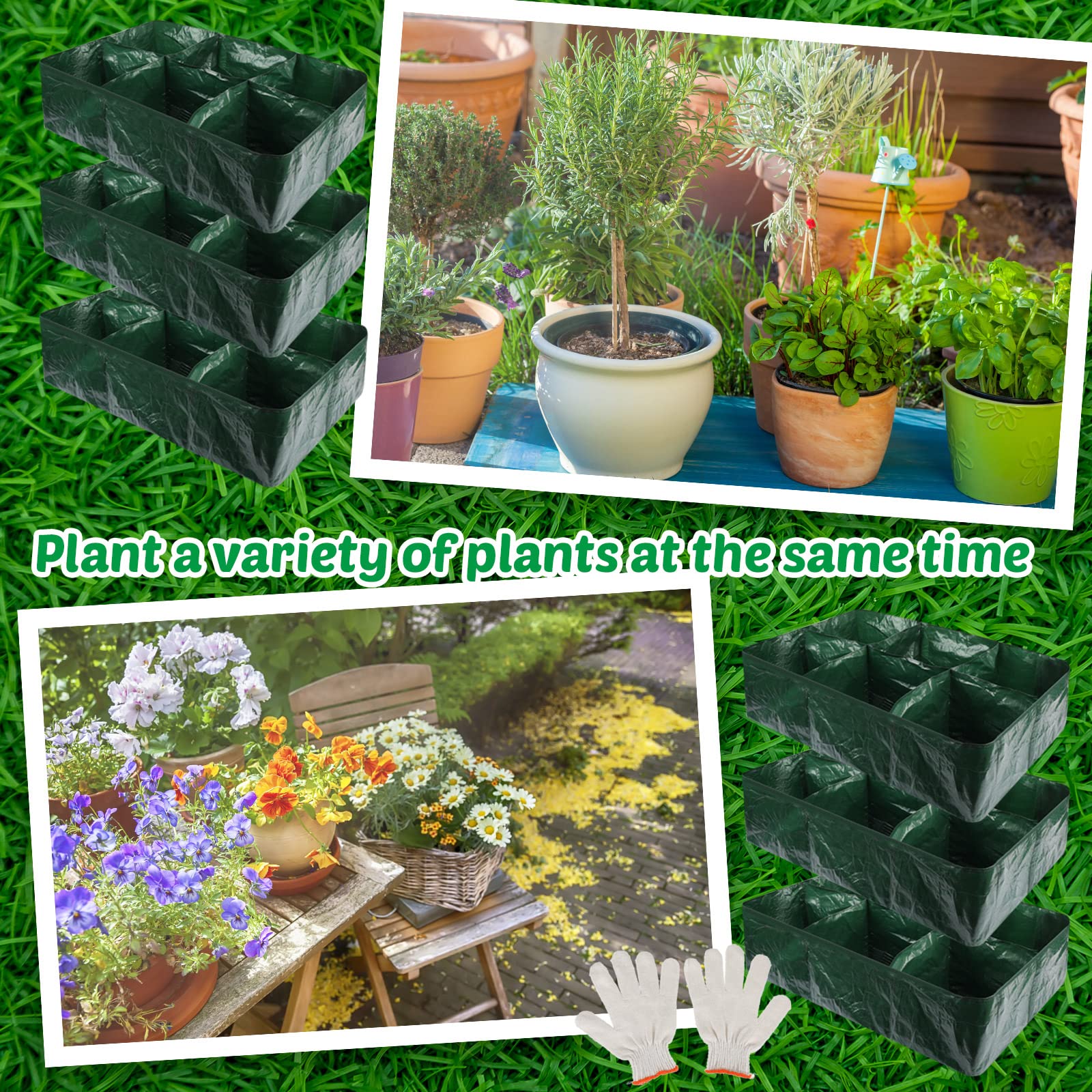 Gerrii six-grid design helps you separate crops for easy care.