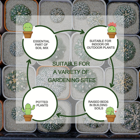 Gerta perlite is ideal for seed starting and planting mixes.