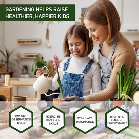 Gerta perlite indoor plants growth supports robust, resilient houseplants
