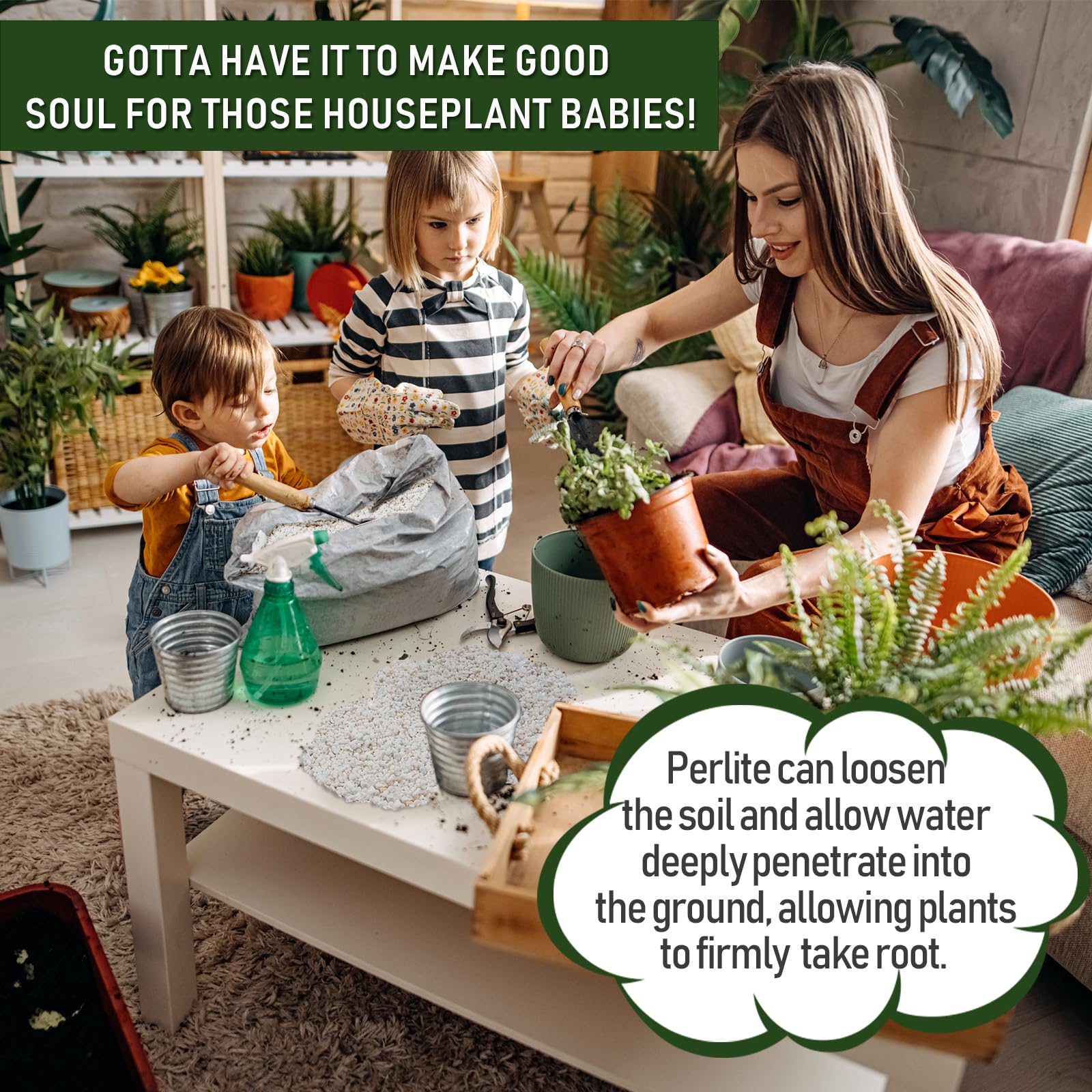 Gerta perlite supports root development for robust plant establishment.