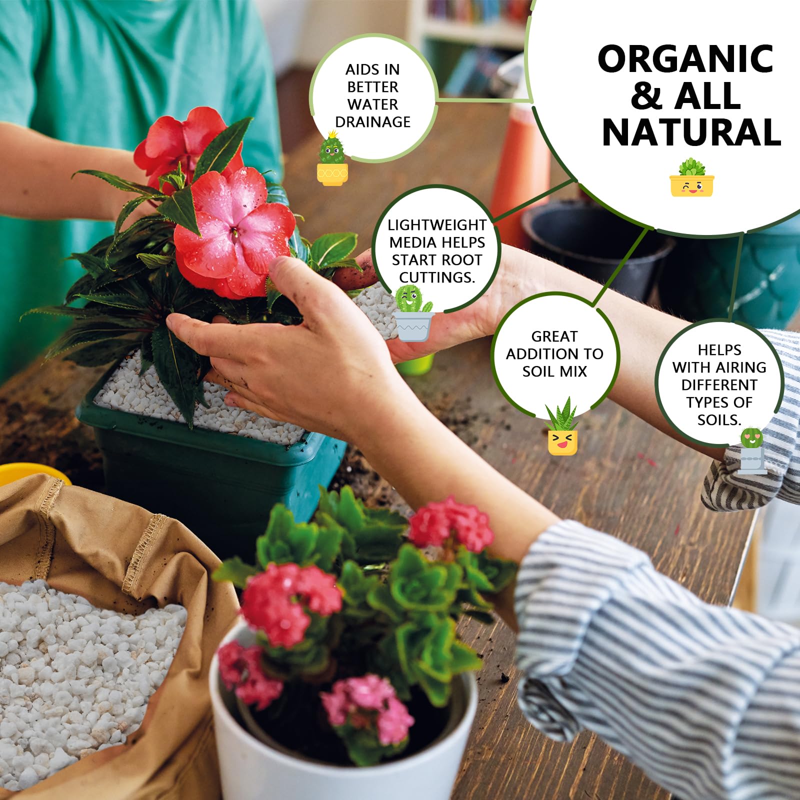 Gerta perlite improves soil mixes for better water penetration and drainage.