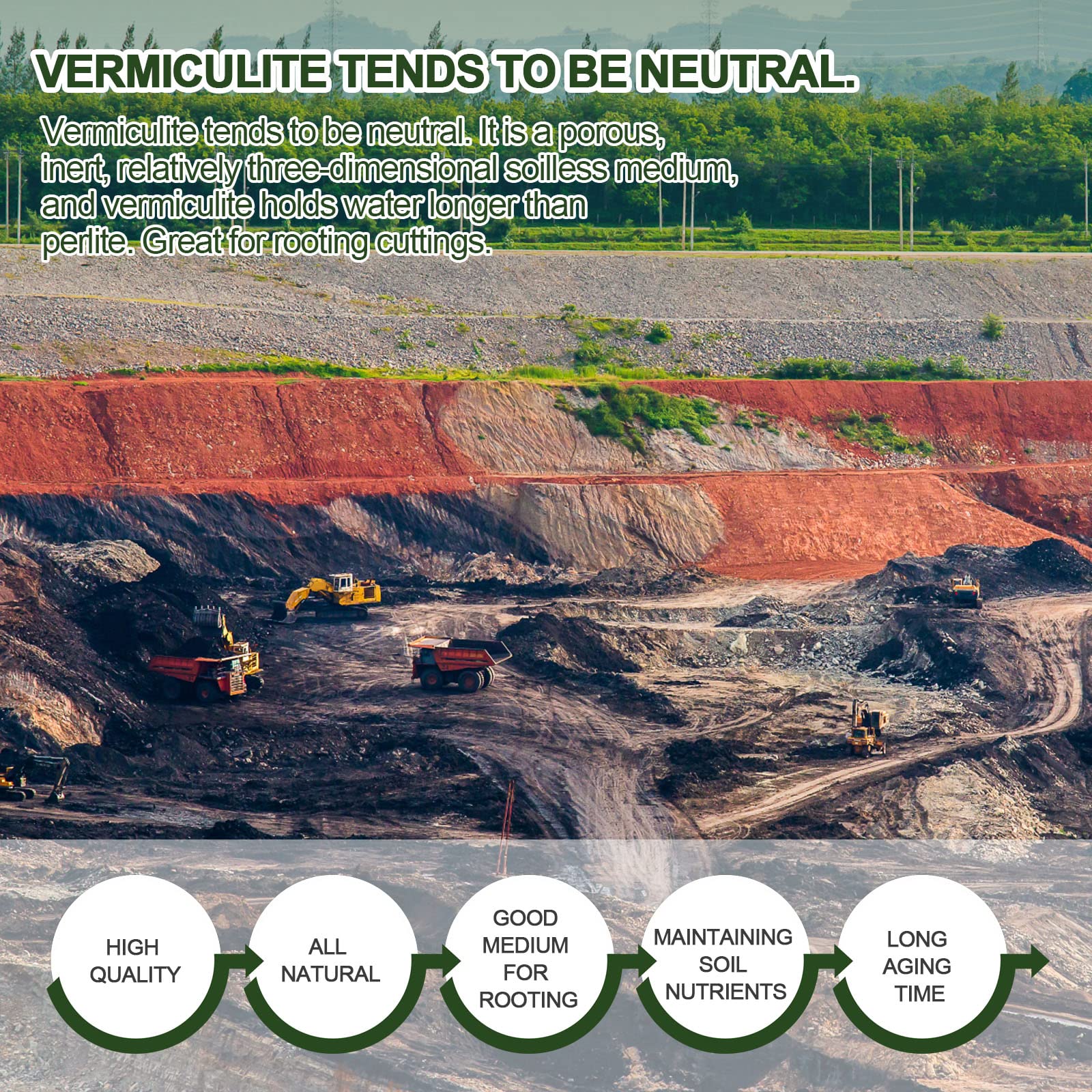 Seedling starting DIY mix with Gerta vermiculite supports gentle rooting.