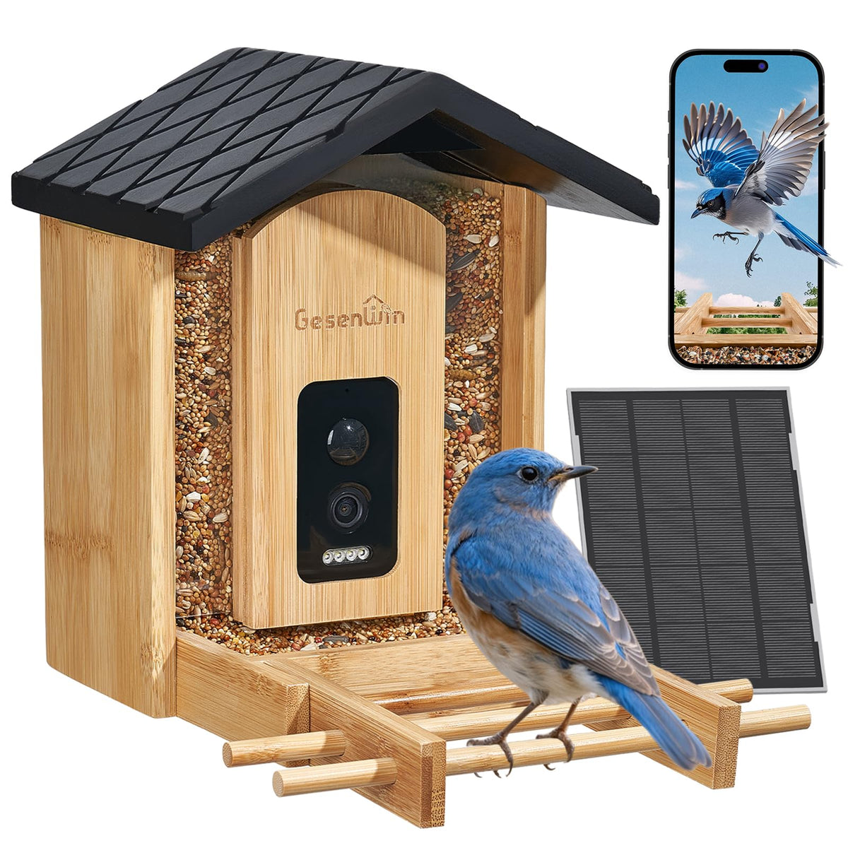 GESENWIN bamboo smart bird feeder camera view daily visits in high clarity