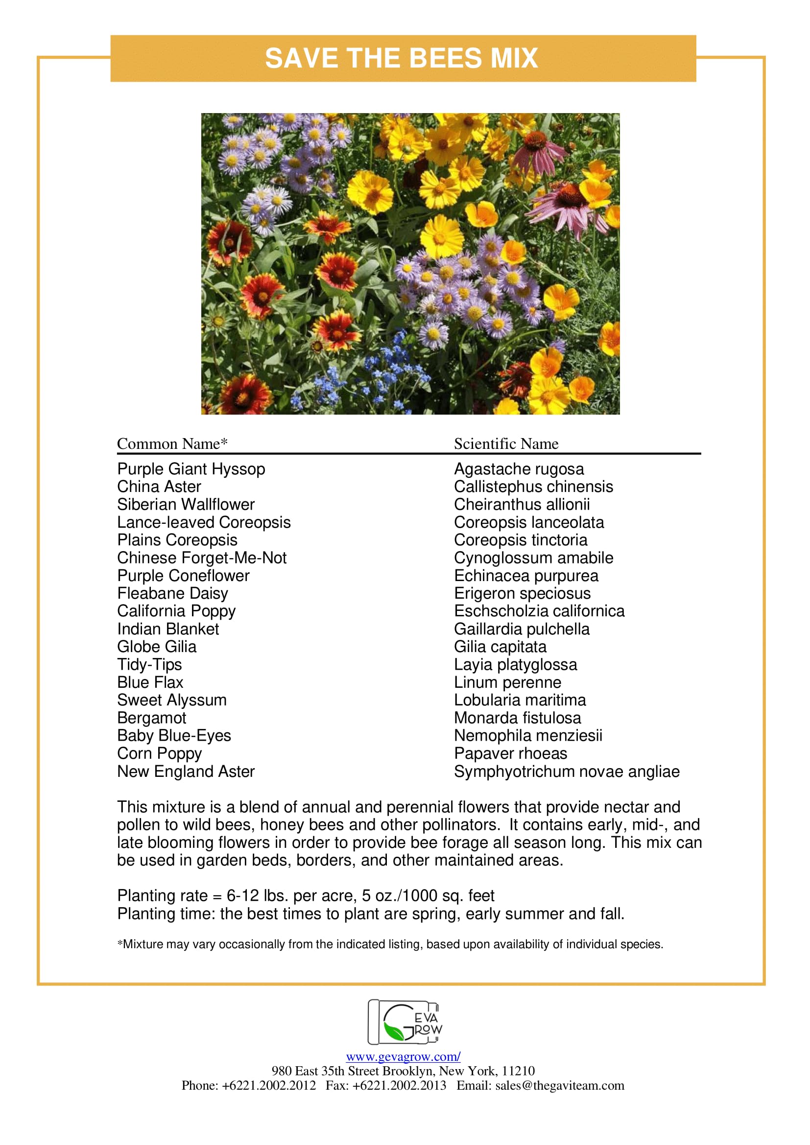 GevaGrow Bee-friendly Garden Planter Setup shows easy integration in pots and beds.