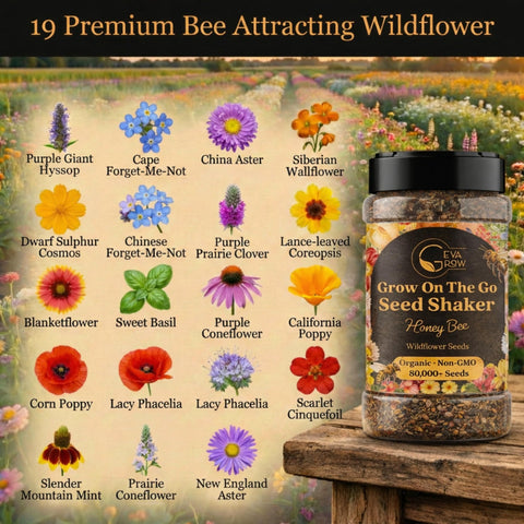GevaGrow Honey Bee Wildflower blooms shown in close-up for pollinators
