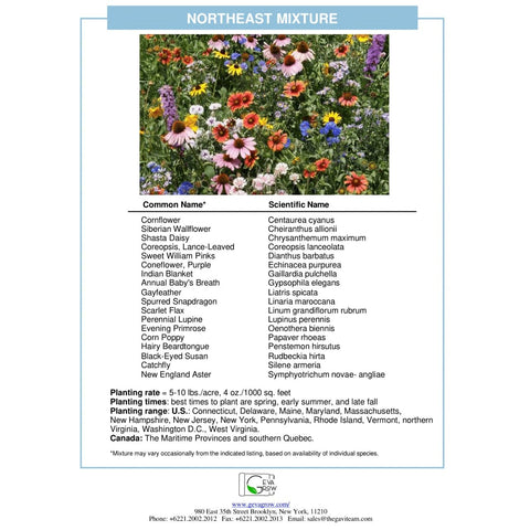 GevaGrow wildflower seeds attracting bees and butterflies for a lively ecosystem